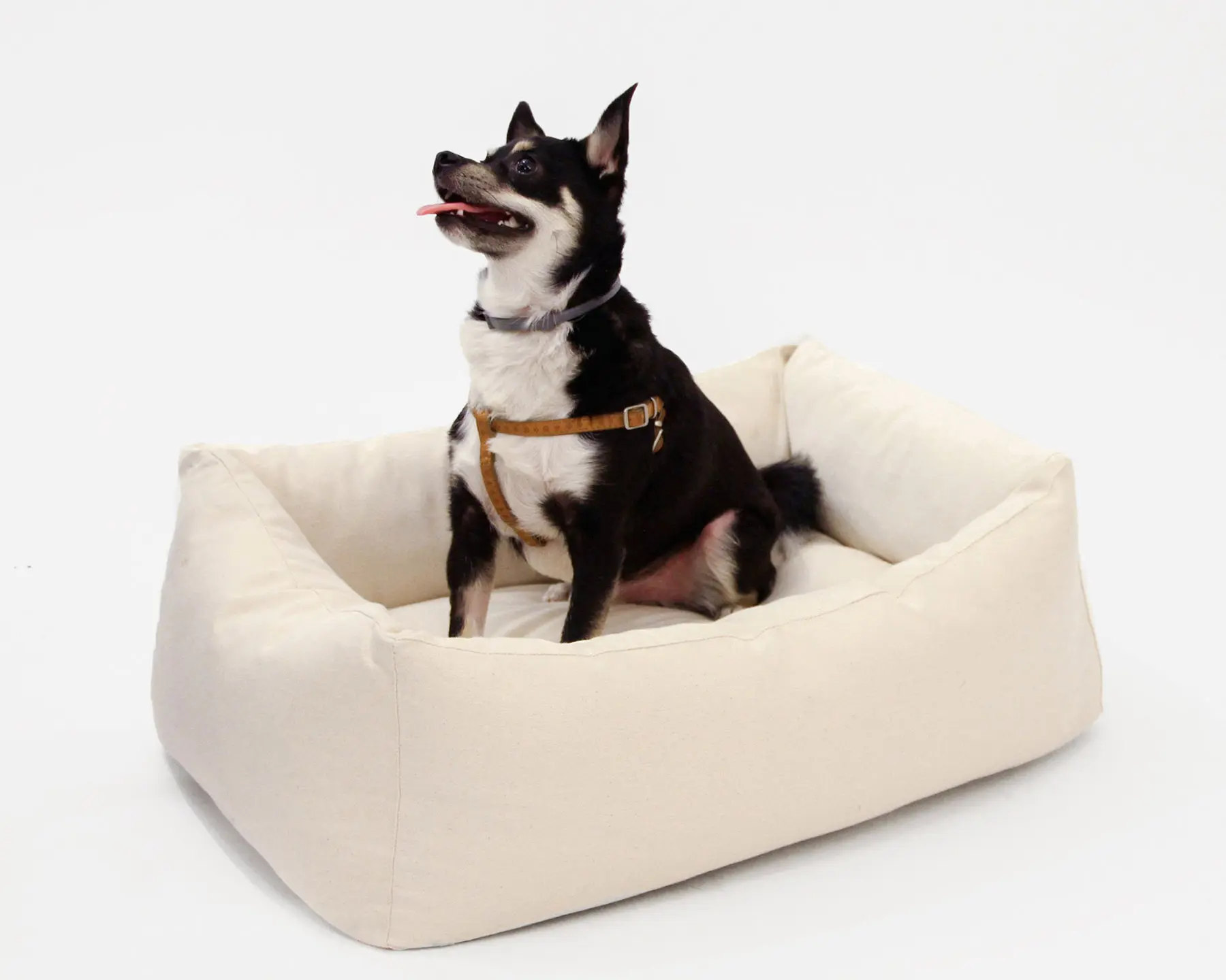 Home of Wool Natural Wool-Filled Pet Bed with Board L dog