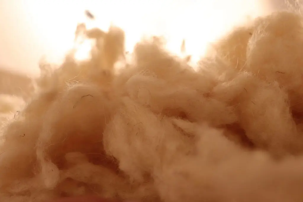 Cinque miti sfatati sulla lana, tutti naturali, sull'imbottitura di lana, da vicino