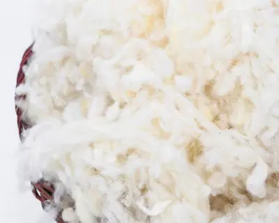 Home of Wool Füllung aus natürlicher, GOTS-zertifizierter Wolle - Detailaufnahme der Textur