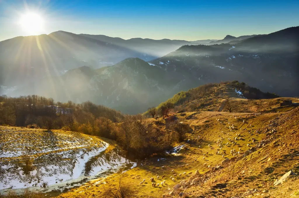 berg zonsopgang over vallei met grazende schapen en mist