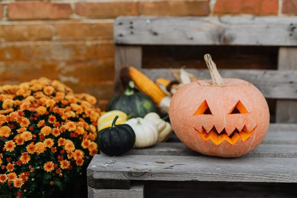 5 Abfallfreie Herbst- und Halloween-Ideen