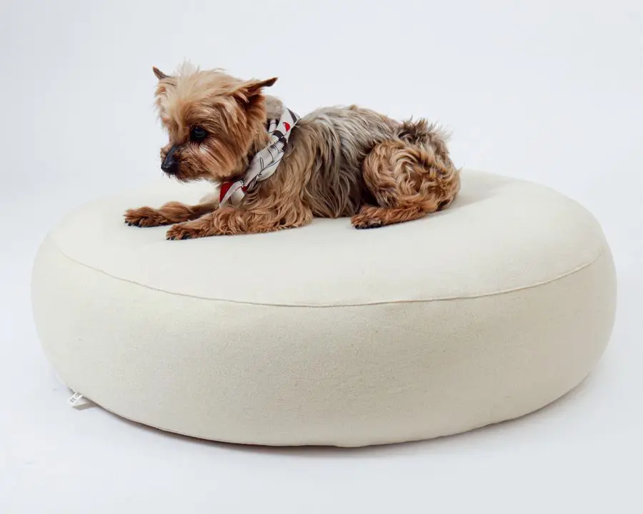 Home of Wool Round Pillow Pet Bed with a Dog