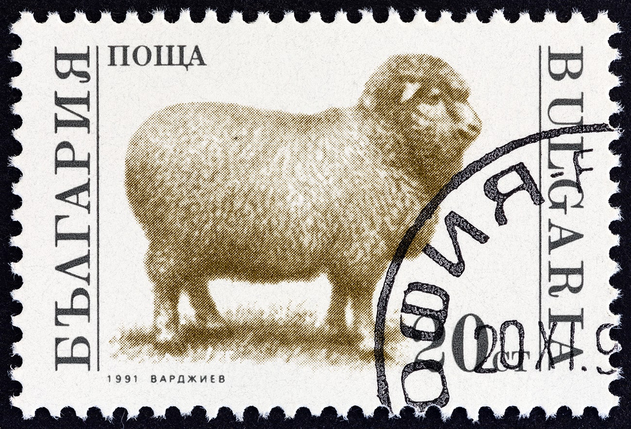 Sello postal búlgaro con la imagen de una oveja.