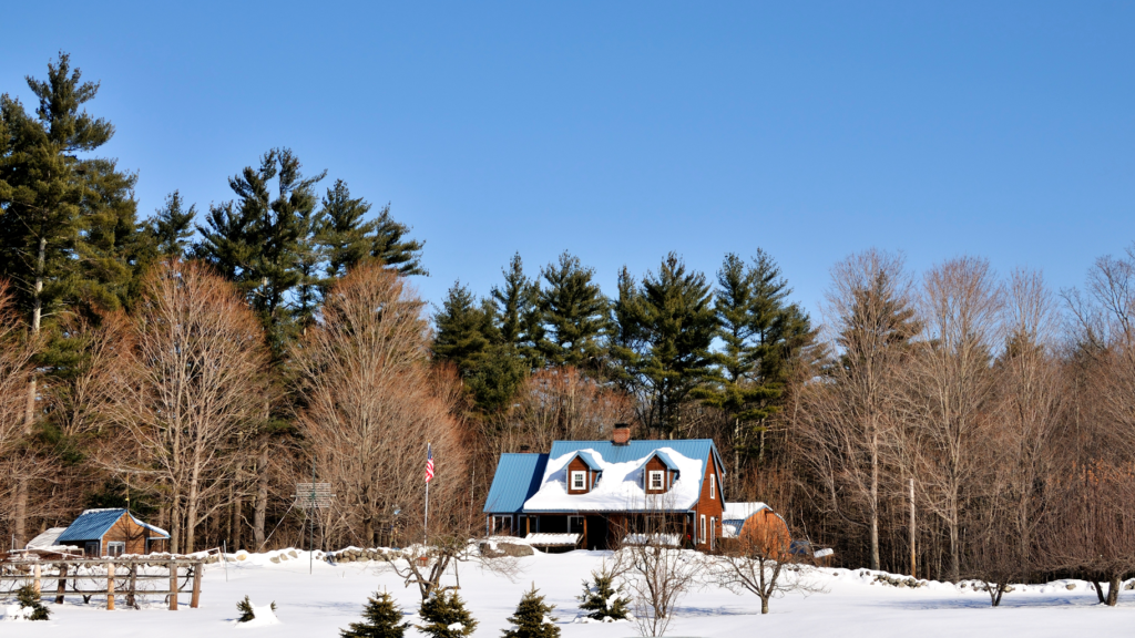 house in the woods on a snowy day