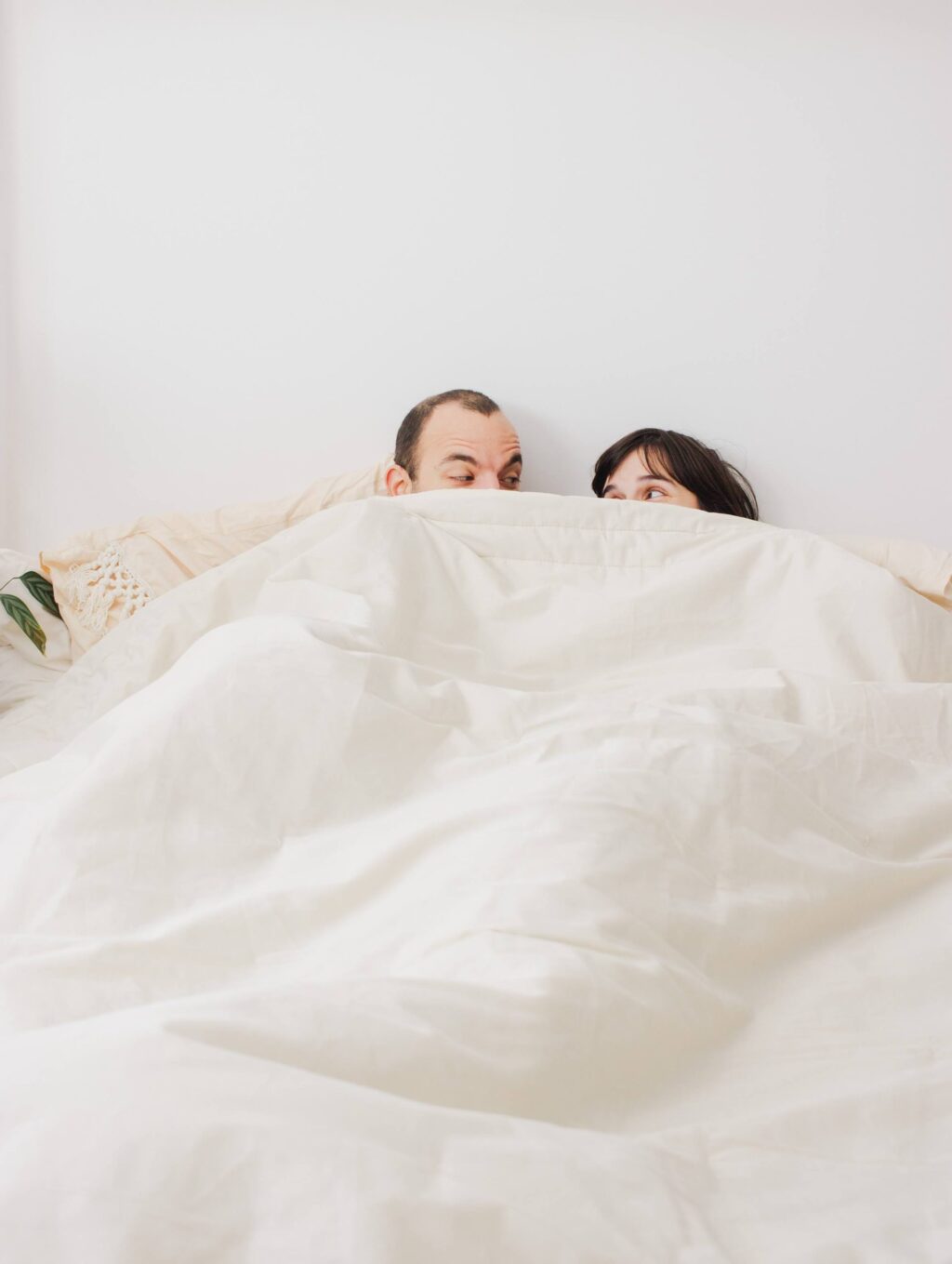 couette en laine pour couples