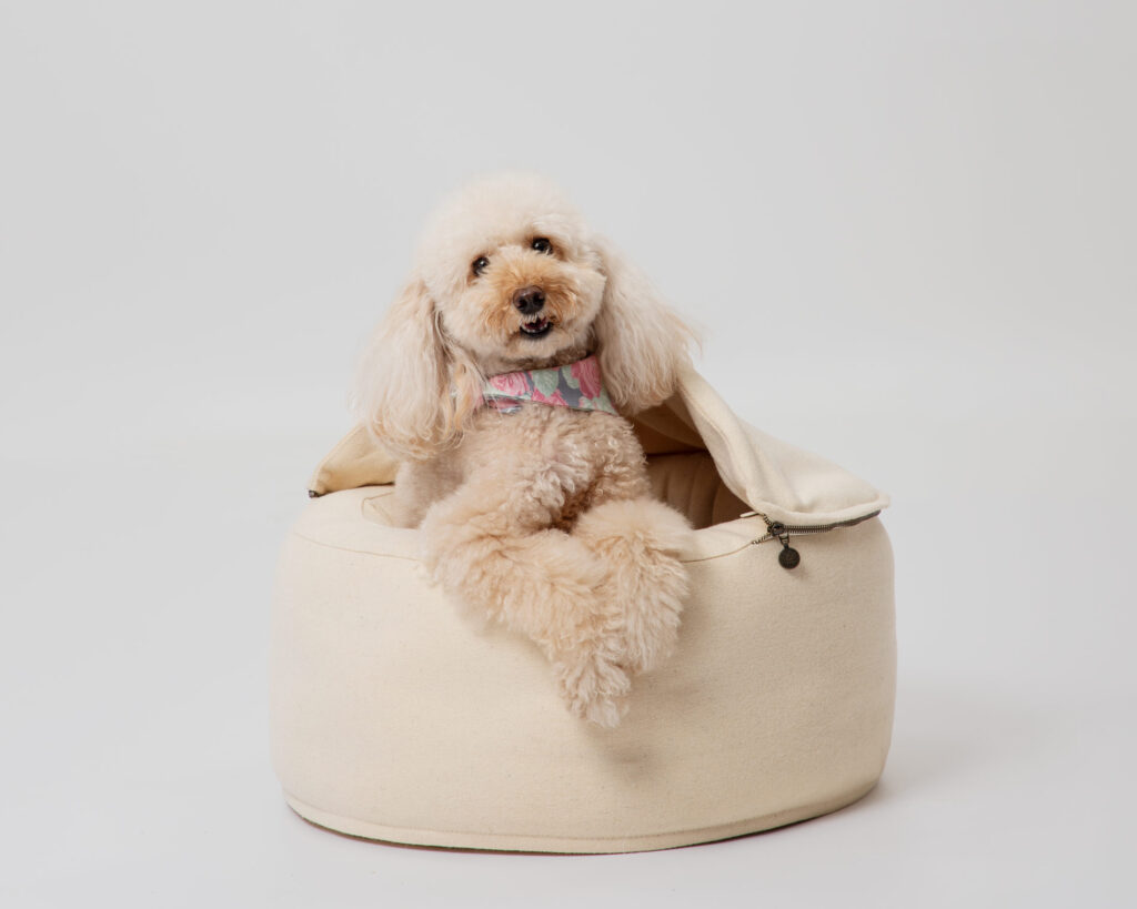 Wollen rond hondenbed met hoes en een hond erin