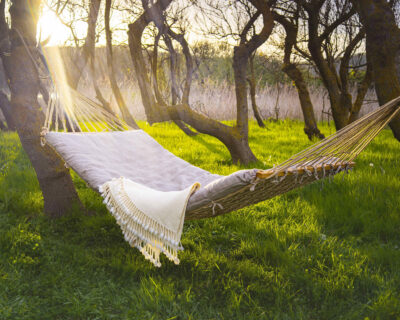 wool hammock cushion with removable cover and a wool blanket in nature